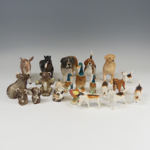 114 - A family of Beswick pottery Koalas, comprising two larger and two smaller figures, in varying poses,... 