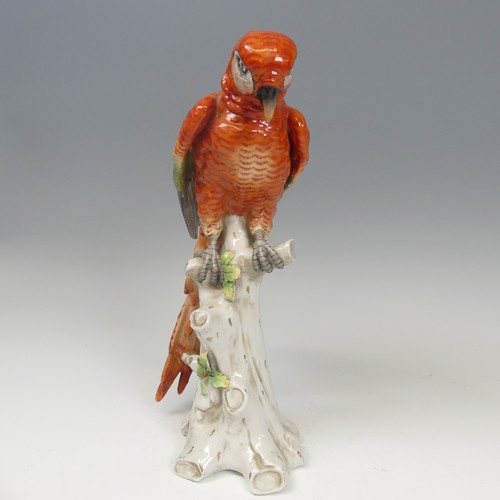 195 - A 19thC Continental porcelain figure of a Parrot, possibly a Macaw, the hard paste porcelain painted... 