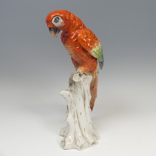 195 - A 19thC Continental porcelain figure of a Parrot, possibly a Macaw, the hard paste porcelain painted... 