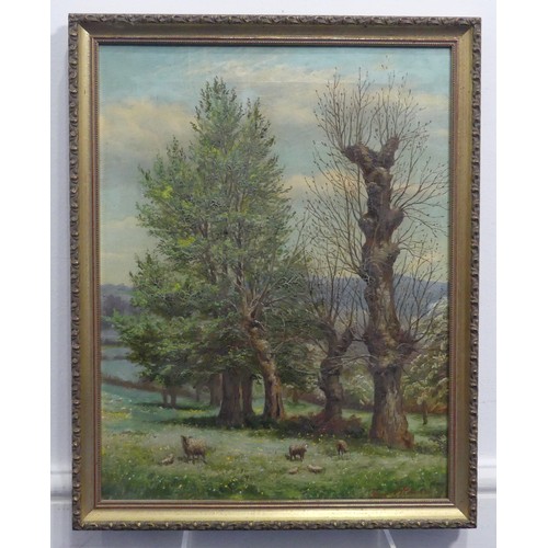 237 - Fred E. Robertson (1878-1953), Sheep in a meadow with trees, oil on canvas, signed lower right, 46cm... 