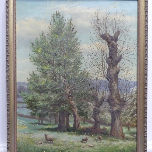 237 - Fred E. Robertson (1878-1953), Sheep in a meadow with trees, oil on canvas, signed lower right, 46cm... 