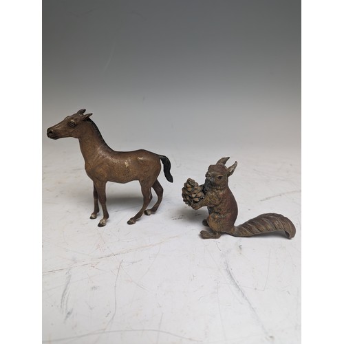 282A - A late 19th / early 20th century Austrian cold painted bronze of a Squirrel holding a pinecone, attr... 