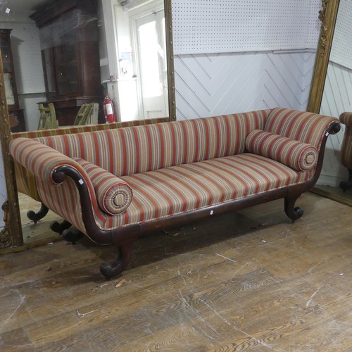 708 - A Regency mahogany scroll-end Sofa, of rectangular proportions, raised on four scroll sabre legs, up... 