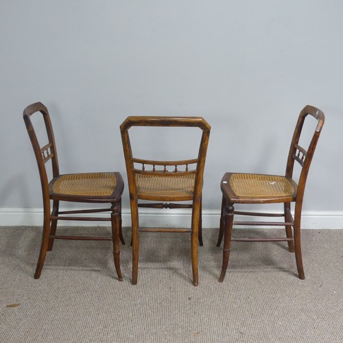 518 - A set of three Edwardian possibly beech cane seated bedroom Chairs, with turned spindle bar backs, W... 