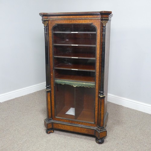 642 - An Edwardian burr walnut veneered and ebonised music Cabinet, shaped top with gilt metal beading, ab... 