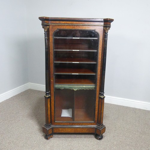 642 - An Edwardian burr walnut veneered and ebonised music Cabinet, shaped top with gilt metal beading, ab... 