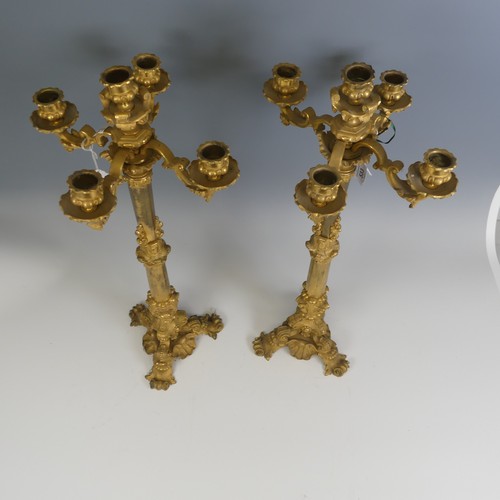 533 - A pair of late 19th century French ormolu Candelabra, circa 1860, with five light branches, lobed ca... 