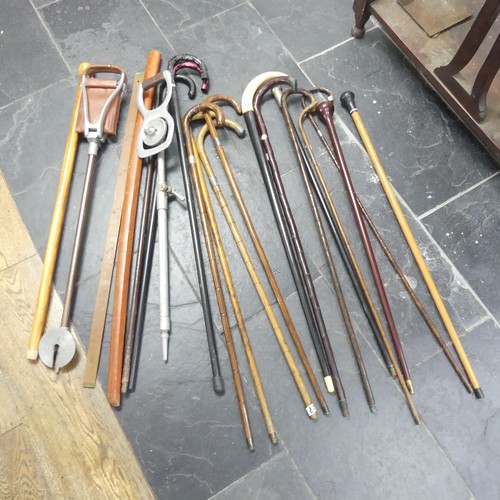 589 - A large quantity of antique and vintage walking Sticks, including, silver mounted, hickory, holly, b... 