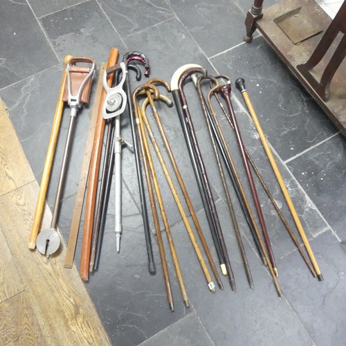 589 - A large quantity of antique and vintage walking Sticks, including, silver mounted, hickory, holly, b... 