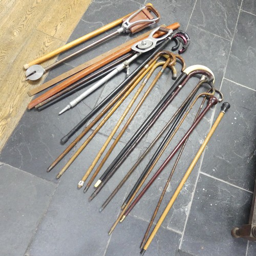 589 - A large quantity of antique and vintage walking Sticks, including, silver mounted, hickory, holly, b... 