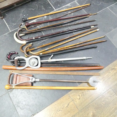 589 - A large quantity of antique and vintage walking Sticks, including, silver mounted, hickory, holly, b... 