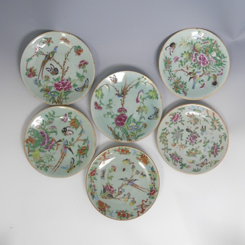 62 - A small quantity of 19thC Chinese famille rose celadon Plates, each decorated in the typical style, ... 