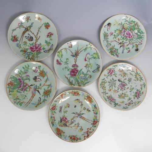 62 - A small quantity of 19thC Chinese famille rose celadon Plates, each decorated in the typical style, ... 