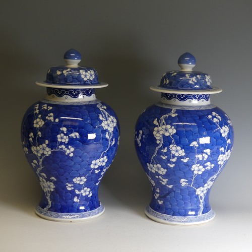 186 - A pair of early 20th century Chinese blue and white porcelain prunus Temple Jars, decorated in typic... 