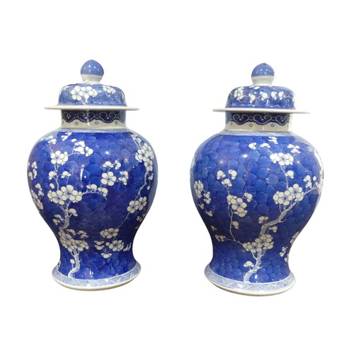 186 - A pair of early 20th century Chinese blue and white porcelain prunus Temple Jars, decorated in typic... 