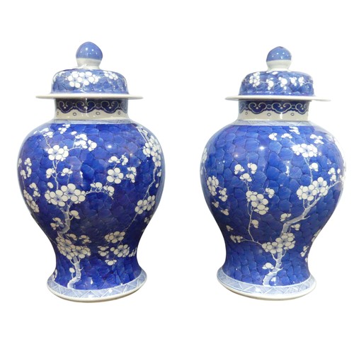 186 - A pair of early 20th century Chinese blue and white porcelain prunus Temple Jars, decorated in typic... 