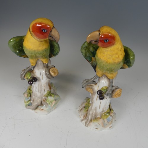 365 - A pair of 20thC continental porcelain Parrots, modelled perched on a tree, underglaze blue mark to b... 