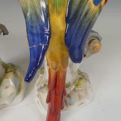 365 - A pair of 20thC continental porcelain Parrots, modelled perched on a tree, underglaze blue mark to b... 