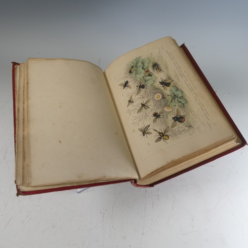 284 - Hanham (Frederick); 'Natural Illustrations of The British Grasses', first edition with pressed speci... 