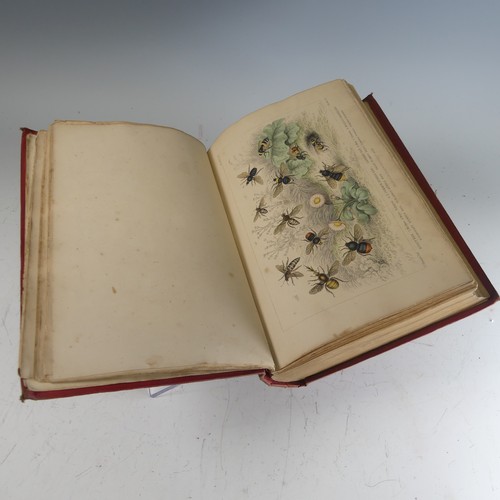 284 - Hanham (Frederick); 'Natural Illustrations of The British Grasses', first edition with pressed speci... 