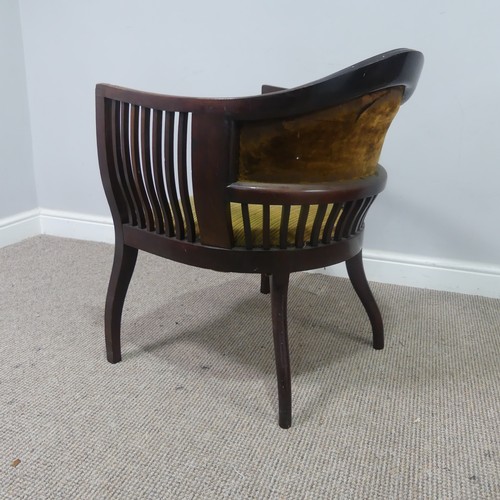 431 - An Edwardian mahogany tub Armchair, with spindle back and arm rests, above serpentine front upholste... 