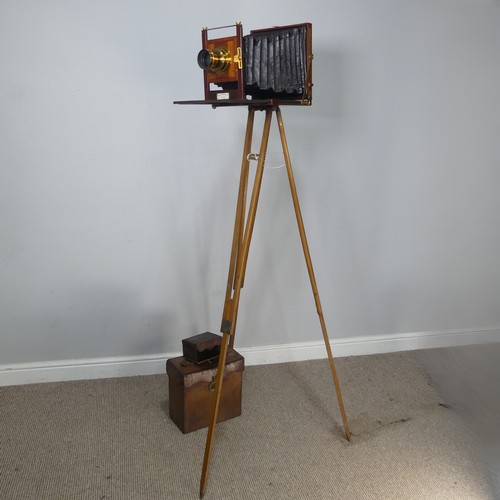 178 - A London Stereoscopic Co. Folding Studio Plate Camera, mahogany and brass with leather bellows and a... 