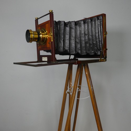 178 - A London Stereoscopic Co. Folding Studio Plate Camera, mahogany and brass with leather bellows and a... 