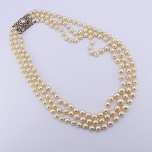 276 - A triple row of graduated cultured Pearls, largest 8.8mm, on a smart seed pearl set 9ct gold snap, 4... 