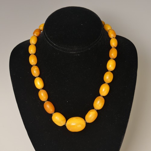 260A - A graduated Amber bead Necklace, the largest approx. 26mm long, on replacement nylon string with gil... 