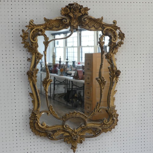 427 - An antique possibly 19th century ornate giltwood and gesso wall Mirror, note with some losses, W 59 ... 