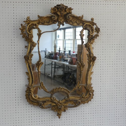 427 - An antique possibly 19th century ornate giltwood and gesso wall Mirror, note with some losses, W 59 ... 