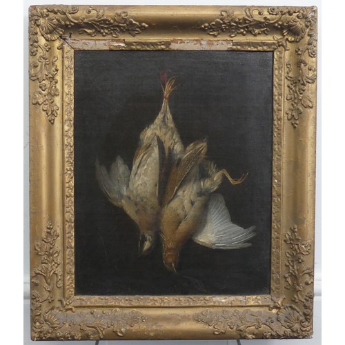 242 - Attributed to Jan Fyt (Flemish, 1611-1661), Still life study brace of hanging Quails, oil on canvas,... 