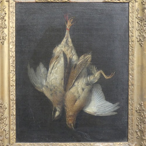 242 - Attributed to Jan Fyt (Flemish, 1611-1661), Still life study brace of hanging Quails, oil on canvas,... 