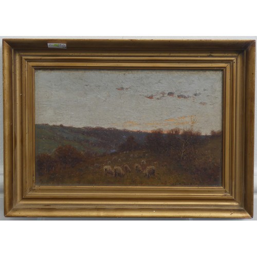 248 - G. Cooper (19th century), Sheep in a rural landscape at sunset, oil on panel, signed lower right, 16... 