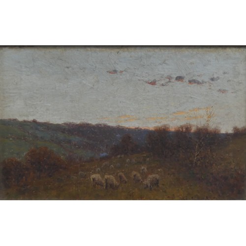 248 - G. Cooper (19th century), Sheep in a rural landscape at sunset, oil on panel, signed lower right, 16... 