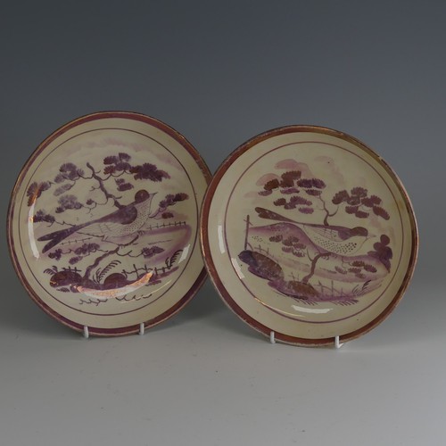 90 - Two 19thC Sunderland lustre pottery Plates, decorated to the well with a bird amongst trees, within ... 