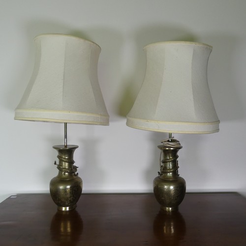 491 - A pair of Chinese style brass table Lamps, decorated with scrolling serpents, H 65 cm.... 