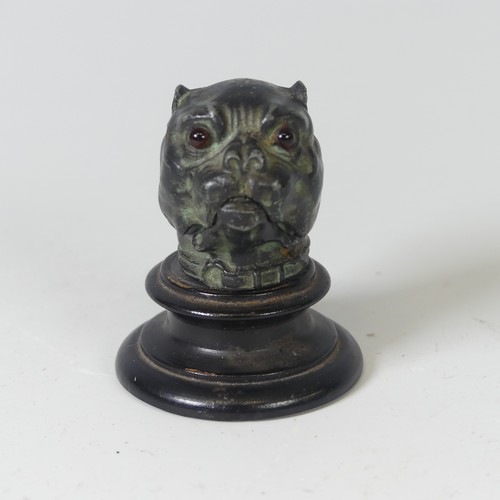 496 - A Victorian Novelty patinated metal Thimble Case, in the form of an English Bulldog, with glass eyes... 