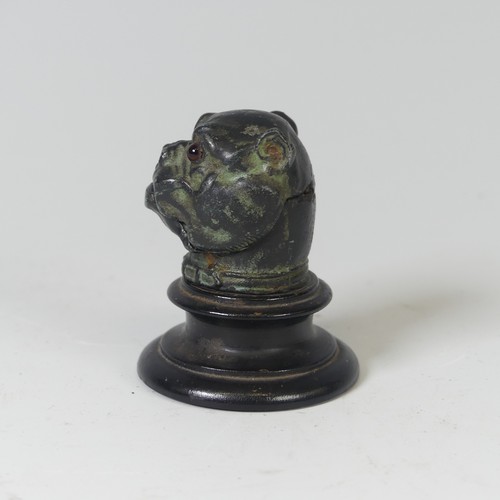 496 - A Victorian Novelty patinated metal Thimble Case, in the form of an English Bulldog, with glass eyes... 