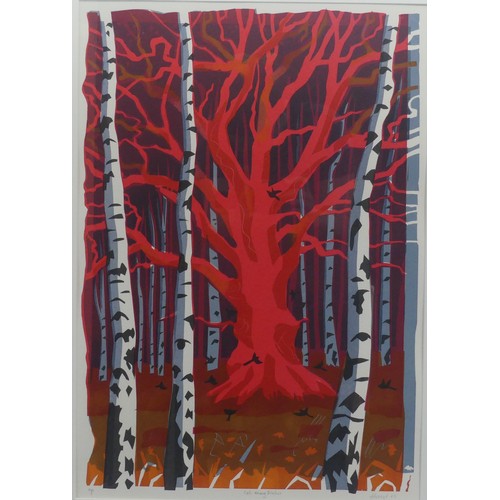 267 - Carry Ackroyd (British, b.1953), Oak among Birches, artist's proof print, signed by the artist and t... 