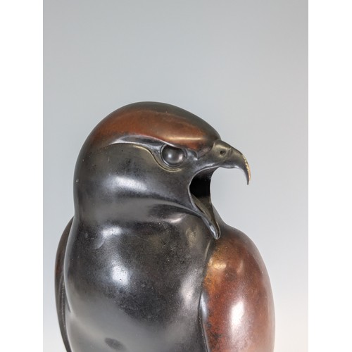 303 - Geoffrey Dashwood (b.1947), Harris Hawk, limited edition bronze with patina, signed in the cast and ... 