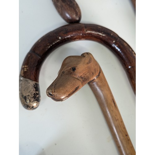 518 - An early 20th century carved horn handled walking Stick, with hickory shaft and silver collar, L 87 ... 