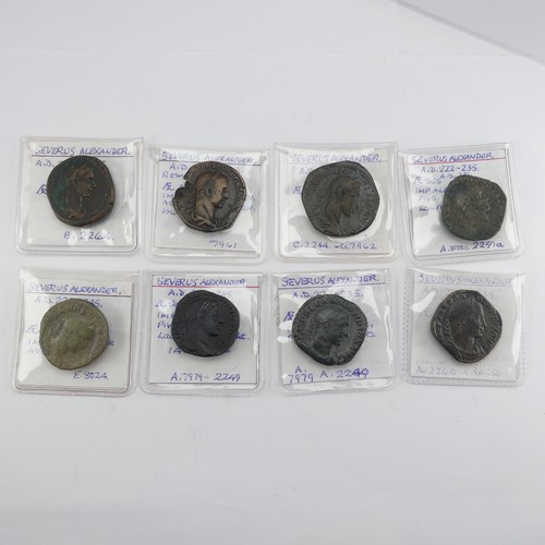 180 - Antiquarian Coins; The Roman Imperial Severan Dynasty, eight Severus Alexander (222 - 235) Sestertiu... 