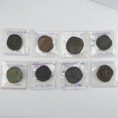 180 - Antiquarian Coins; The Roman Imperial Severan Dynasty, eight Severus Alexander (222 - 235) Sestertiu... 