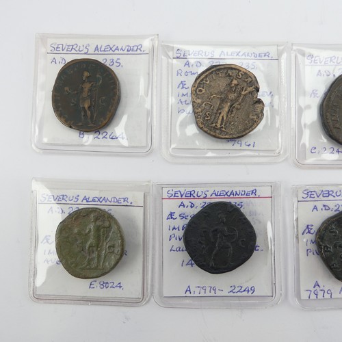 180 - Antiquarian Coins; The Roman Imperial Severan Dynasty, eight Severus Alexander (222 - 235) Sestertiu... 