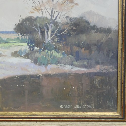 285 - Norman Battershill (British, 1922-2010), River Landscape, oil on board, signed, 35.5cm x 45.5cm (14i... 