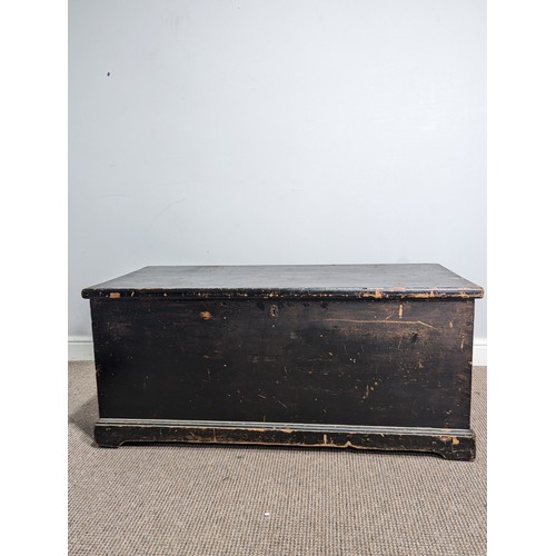 542 - An antique ebonised pine Trunk, with carrying handles to either side, W 105 cm x H 47 cm x D 48 cm.... 