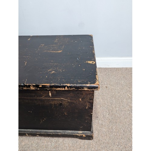 542 - An antique ebonised pine Trunk, with carrying handles to either side, W 105 cm x H 47 cm x D 48 cm.... 