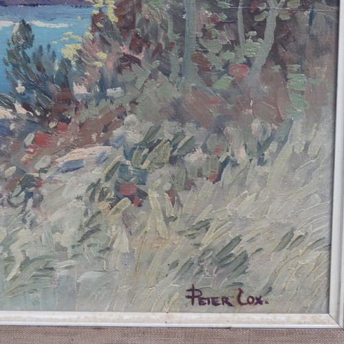 215 - B. Majumdar (20th Century Indian School), Indian river landscape, oil on canvas, signed lower right,... 