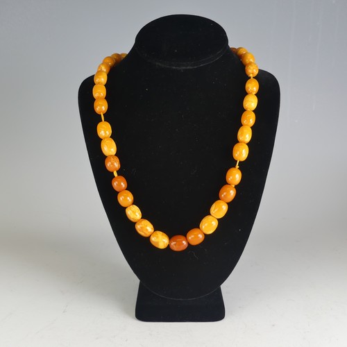 300 - A graduated amber bead Necklace, the largest 16mm long, on replacement string and paste clasp, toget... 